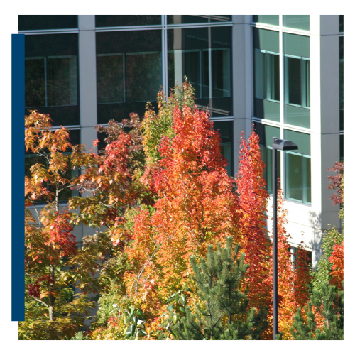 Q3-Access-Advantage-Feature-Image3